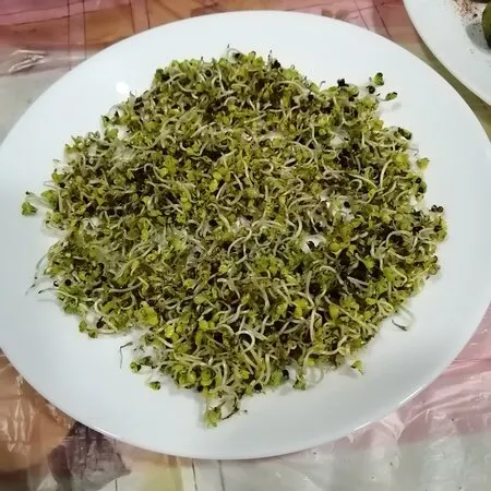 براعم البروكولي