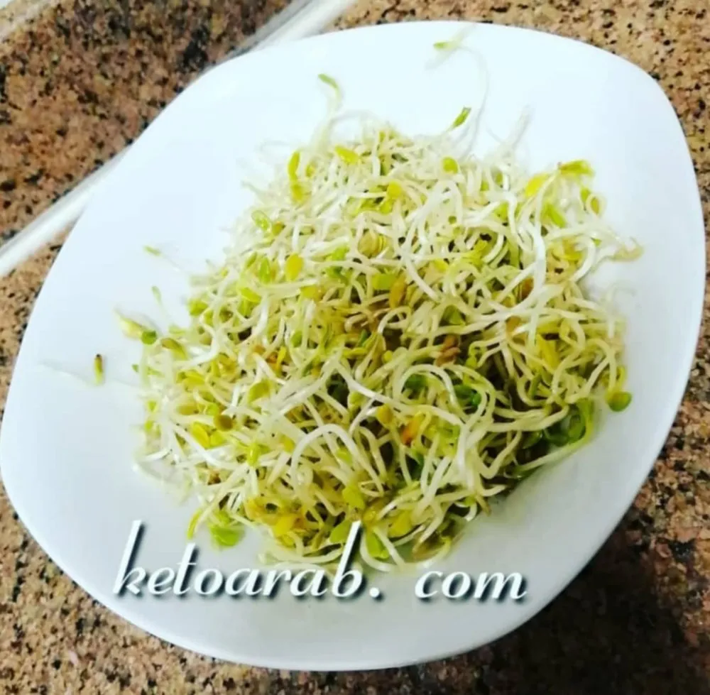 استنبات البراعم