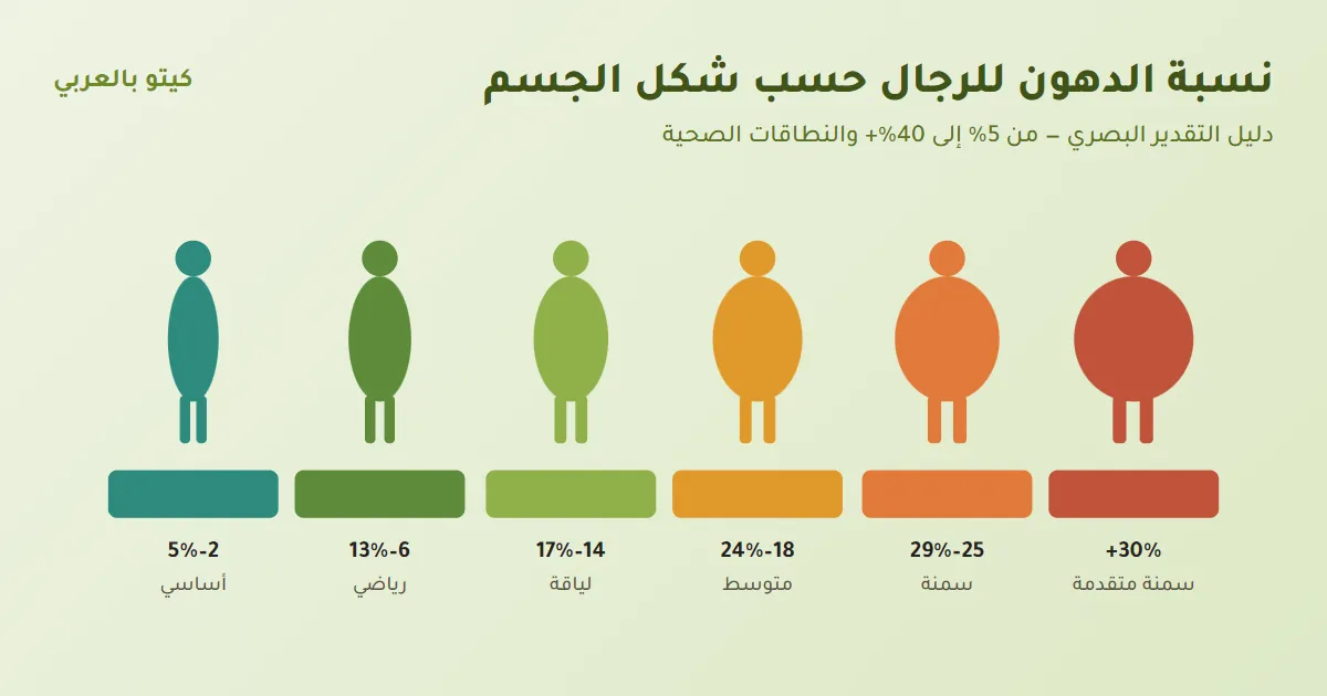 نسبة الدهون للرجال حسب شكل الجسم